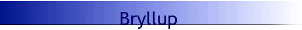 Bryllup                      