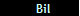   Bil