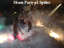 Skum Party p� Spider